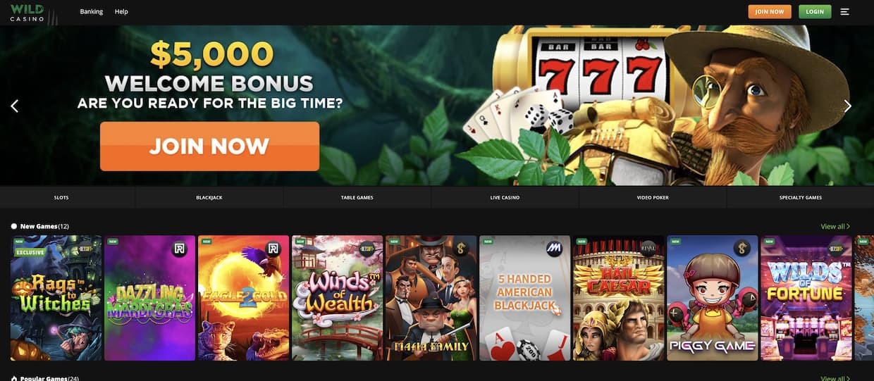 Casino Resources: website